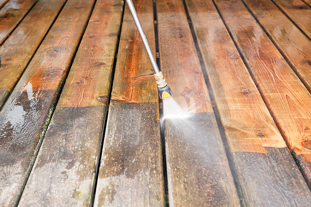 Best Fence Cleaning  in Wekiwa Springs, FL